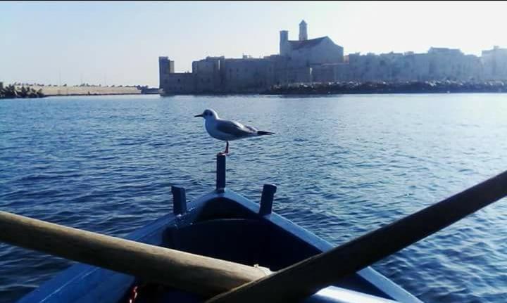 Il Da Vinci Casa Vacanze Giovinazzo Exterior foto